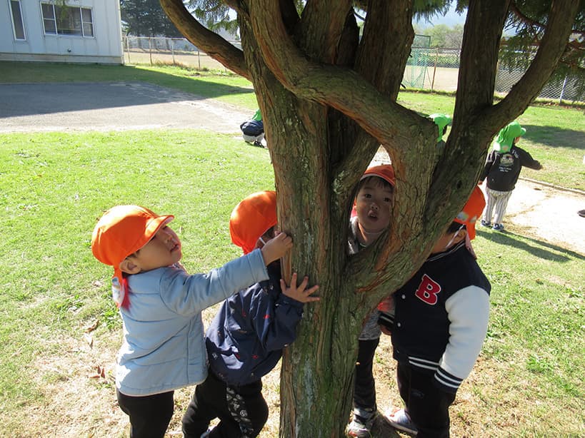 庭の木につかまって遊ぶ子どもたち