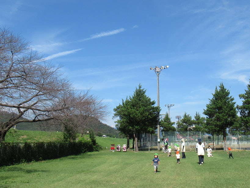 広い芝生のグランドで遊ぶ園児と保育士